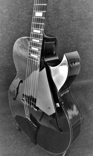 Fibertone carbon fiber guitar