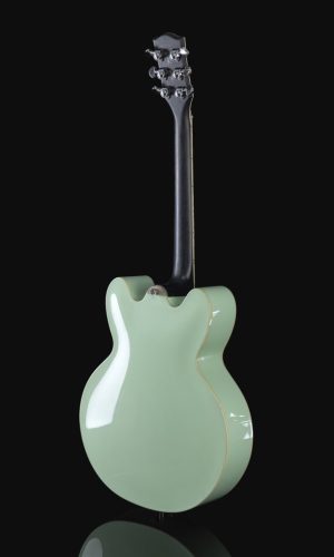 Fibertone carbon fiber arcthtop guitar