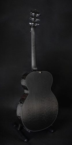 Fibertone auditorium NC (4)